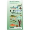Sub-base Fischkarten Logbuch Einlagen Süsswasser Fische Mit SSI Lochung -ActionSport Würzburg Shop 402 suesswasser karten 2017