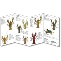 Sub-base Fischkarten Logbuch Einlagen Süsswasser Fische Mit SSI Lochung -ActionSport Würzburg Shop 402 suesswasser ssi einlagen 2