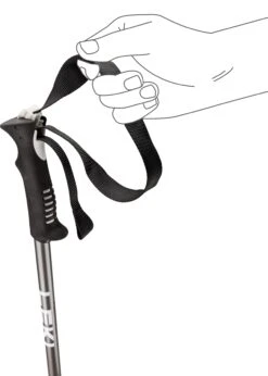 LEKI PRIMACY Skistock Skistöcke Für Erwachsene Collection 2024 -ActionSport Würzburg Shop 65346201 Primacy black light anth white 2024 3